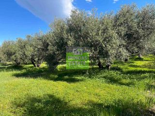 Οικόπεδο 6.100 τ.μ. για πώληση, Ν. Χανίων, Πλατανιάς-thumb-23