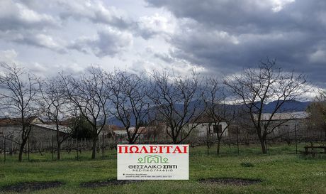 Οικόπεδο 700τ.μ. για πώληση-Γόμφοι » Κέντρο