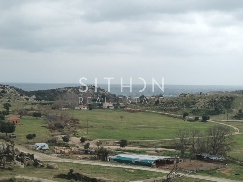 Οικόπεδο 498 τ.μ. προς πώληση, Σκάλα Συκέας