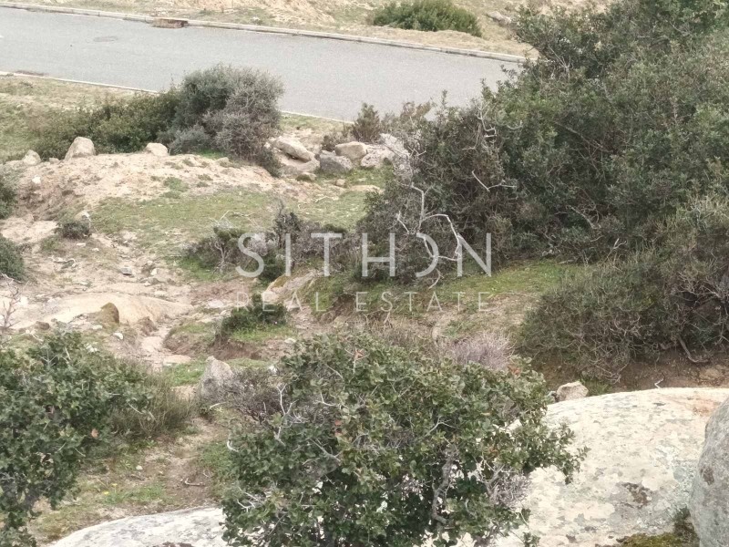 Οικόπεδο 498 τ.μ. προς πώληση, Σκάλα Συκέας