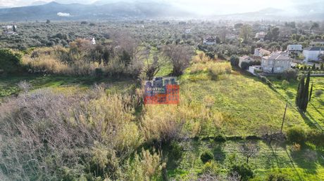 Οικόπεδο 4.800 τ.μ. για πώληση