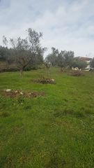 Οικόπεδο 1.100 τ.μ. για πώληση