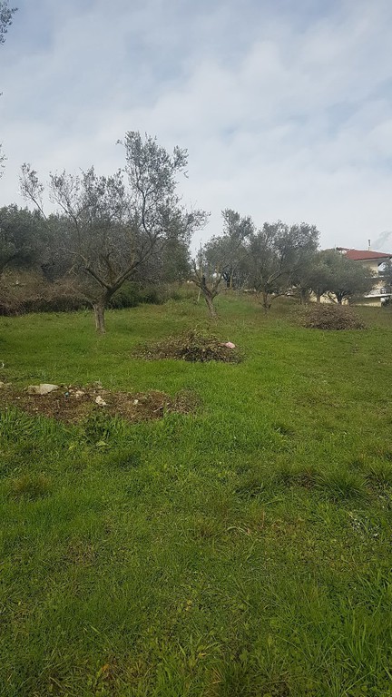 Οικόπεδο 1.100 τ.μ. προς πώληση, Μαυρούδι