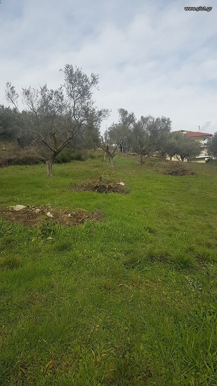 Οικόπεδο 1.100 τ.μ. προς πώληση, Μαυρούδι