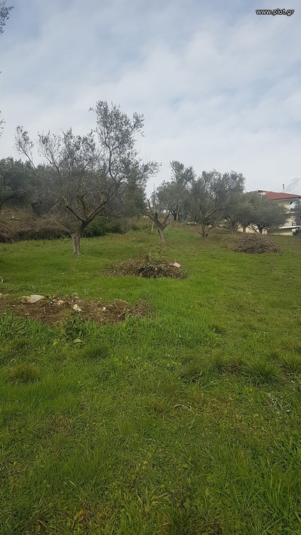 Οικόπεδο 1.100 τ.μ. προς πώληση, Μαυρούδι