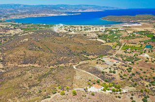 Αγροτεμάχια 4.450 τ.μ. πρός πώληση, Αργολίδα, Ερμιόνη-thumb-16