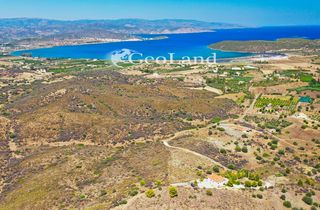Αγροτεμάχια 4.450 τ.μ. πρός πώληση, Αργολίδα, Ερμιόνη-thumb-9