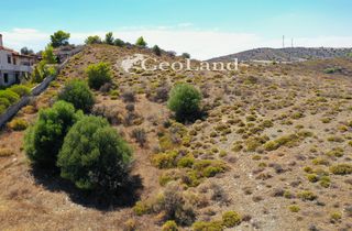 Αγροτεμάχια 4.450 τ.μ. πρός πώληση, Αργολίδα, Ερμιόνη-thumb-15