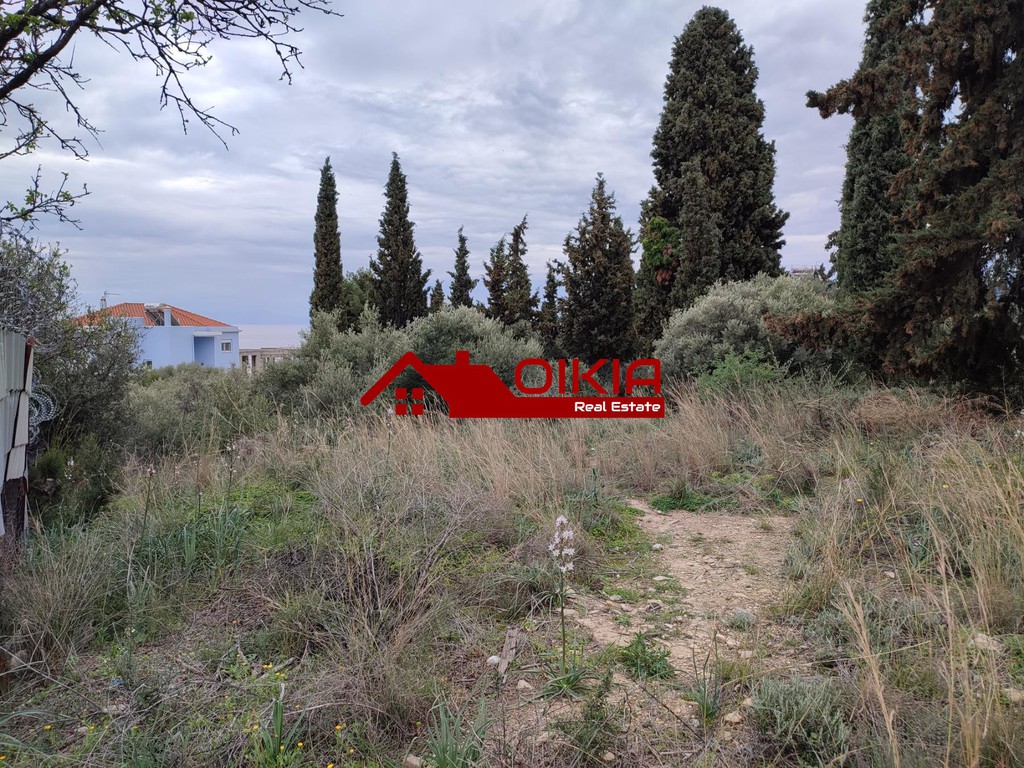 Οικόπεδο 350 τ.μ. πρός πώληση, Μαγνησία, Βόλος