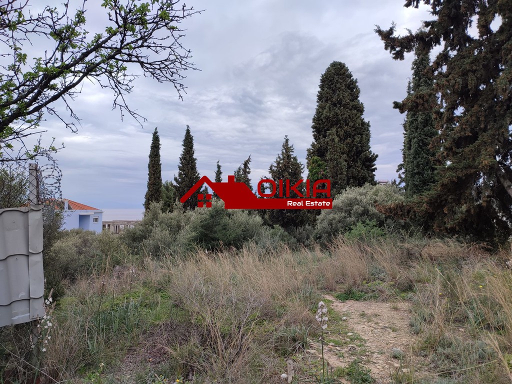 Οικόπεδο 350 τ.μ. πρός πώληση, Μαγνησία, Βόλος