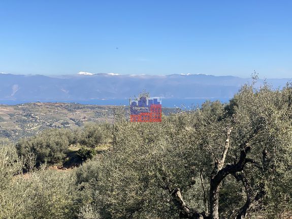 Αγροτεμάχια 5.500 τ.μ. για πώληση, Αχαΐα, Αίγιο