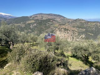 Αγροτεμάχια 5.500 τ.μ. για πώληση, Αχαΐα, Αίγιο-thumb-2