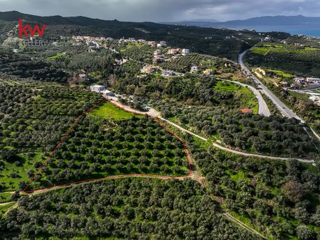 Οικόπεδο 5.281,89τ.μ. για πώληση-Νέα κυδωνία
