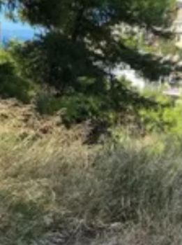 Οικόπεδο 810τ.μ. για πώληση-Βούλα » Δικηγορικά