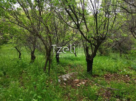 Αγροτεμάχια 1.750 τ.μ. για πώληση