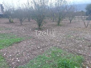 Οικόπεδο 421 τ.μ. για πώληση, Αχαΐα, Πάτρα-thumb-18