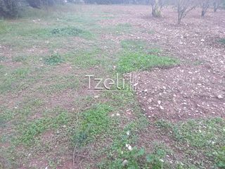 Οικόπεδο 421 τ.μ. για πώληση, Αχαΐα, Πάτρα-thumb-6