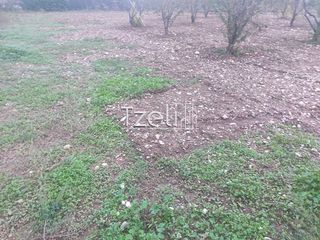 Οικόπεδο 421 τ.μ. για πώληση, Αχαΐα, Πάτρα-thumb-25