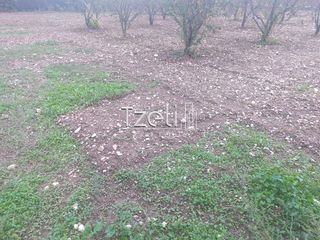 Οικόπεδο 421 τ.μ. για πώληση, Αχαΐα, Πάτρα-thumb-17