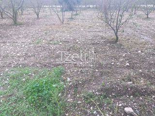 Οικόπεδο 421 τ.μ. για πώληση, Αχαΐα, Πάτρα-thumb-24