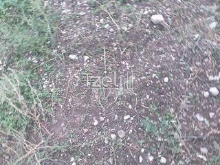 Οικόπεδο 421 τ.μ. για πώληση, Αχαΐα, Πάτρα-thumb-8