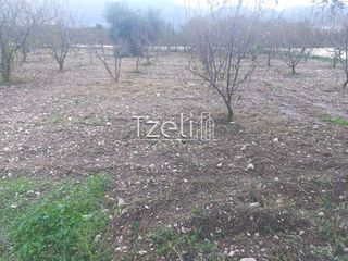 Οικόπεδο 421 τ.μ. για πώληση, Αχαΐα, Πάτρα-thumb-28