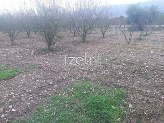 Οικόπεδο 421 τ.μ. για πώληση, Αχαΐα, Πάτρα-thumb-29