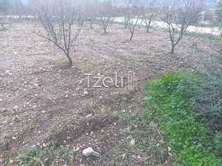 Οικόπεδο 421 τ.μ. για πώληση, Αχαΐα, Πάτρα-thumb-9