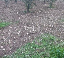 Οικόπεδο 421 τ.μ. για πώληση, Αχαΐα, Πάτρα-thumb-15
