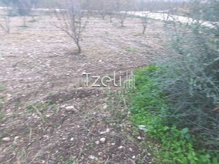 Οικόπεδο 421 τ.μ. για πώληση, Αχαΐα, Πάτρα-thumb-4