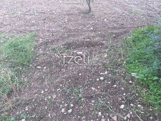 Οικόπεδο 421 τ.μ. για πώληση, Αχαΐα, Πάτρα-thumb-10