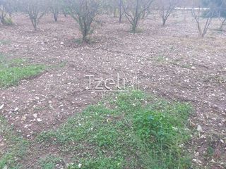 Οικόπεδο 421 τ.μ. για πώληση, Αχαΐα, Πάτρα-thumb-21