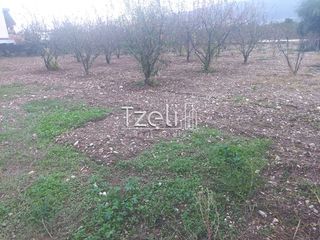 Οικόπεδο 421 τ.μ. για πώληση, Αχαΐα, Πάτρα-thumb-14