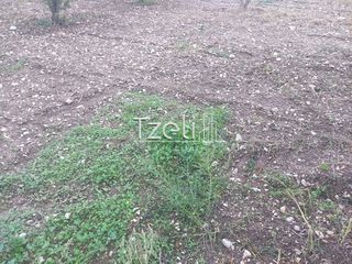 Οικόπεδο 421 τ.μ. για πώληση, Αχαΐα, Πάτρα-thumb-20