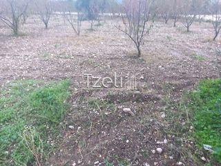 Οικόπεδο 421 τ.μ. για πώληση, Αχαΐα, Πάτρα-thumb-7