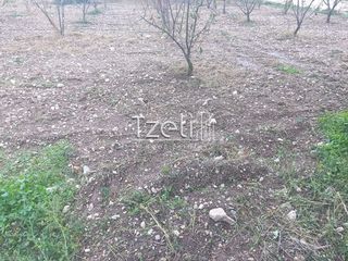 Οικόπεδο 421 τ.μ. για πώληση, Αχαΐα, Πάτρα-thumb-16
