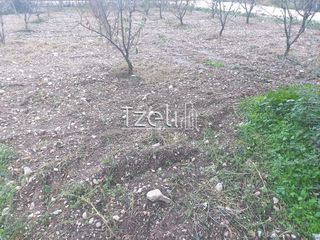 Οικόπεδο 421 τ.μ. για πώληση, Αχαΐα, Πάτρα-thumb-11