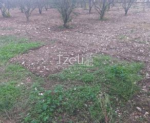 Οικόπεδο 421 τ.μ. για πώληση, Αχαΐα, Πάτρα-thumb-27