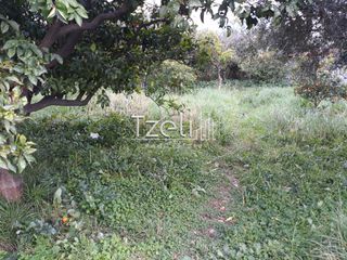Οικόπεδο 250 τ.μ. για πώληση, Αχαΐα, Πάτρα-thumb-5