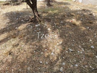 Οικόπεδο 250 τ.μ. για πώληση, Αχαΐα, Πάτρα-thumb-28