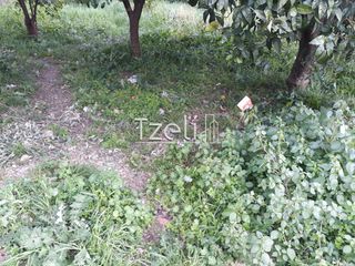 Οικόπεδο 250 τ.μ. για πώληση, Αχαΐα, Πάτρα-thumb-10