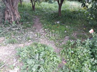 Οικόπεδο 250 τ.μ. για πώληση, Αχαΐα, Πάτρα-thumb-15