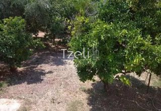 Οικόπεδο 250 τ.μ. για πώληση, Αχαΐα, Πάτρα-thumb-2