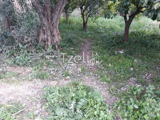 Οικόπεδο 250 τ.μ. για πώληση, Αχαΐα, Πάτρα-thumb-3