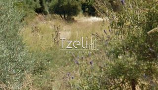 Οικόπεδο 440 τ.μ. για πώληση, Αχαΐα, Πάτρα-thumb-21
