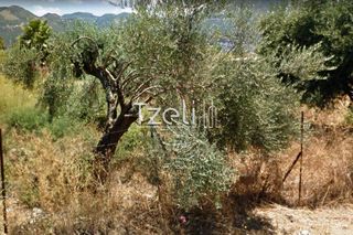 Οικόπεδο 440 τ.μ. για πώληση, Αχαΐα, Πάτρα-thumb-23