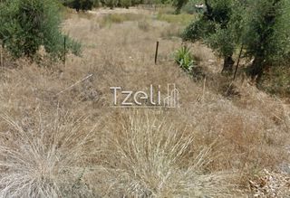 Οικόπεδο 440 τ.μ. για πώληση, Αχαΐα, Πάτρα-thumb-19