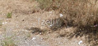 Οικόπεδο 440 τ.μ. για πώληση, Αχαΐα, Πάτρα-thumb-29