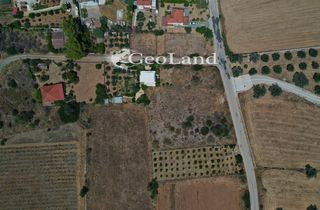 Αγροτεμάχια 9.900 τ.μ. προς πώληση, Πορτοχέλι-thumb-8