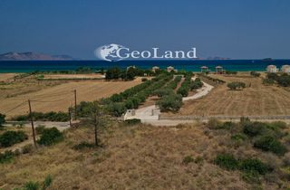 Αγροτεμάχια 9.900 τ.μ. προς πώληση, Πορτοχέλι-thumb-5
